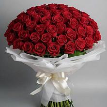 Букет 101 Красная роза Блэк Мэджик в Бутово