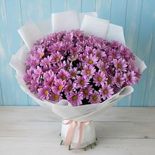 Букет цветов из:  Хризантемы в Бутово