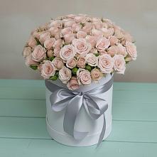 Цветочная композиция из Розы в шляпной коробке #REPLACE_PRED# Бутово