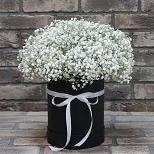 Цветочная композиция из Гипсофила в шляпной коробке в Бутово