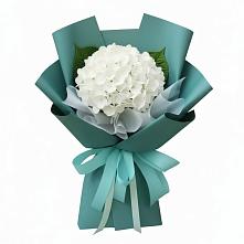 Букет цветов из:  Гортензия в Бутово